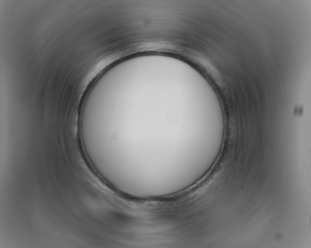 X0000091501322200708161226