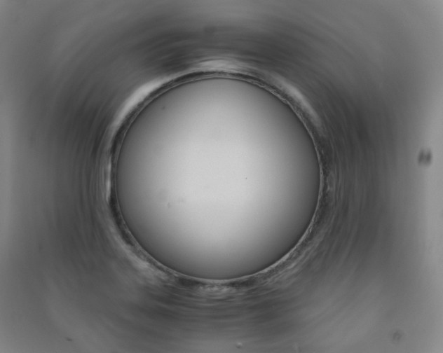 X0000091501323200708161226