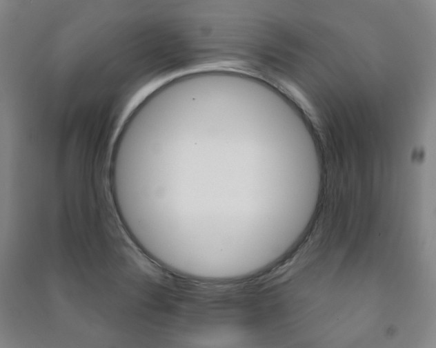 X0000091501324200708161226
