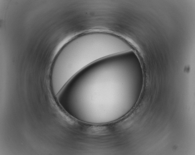 X0000091501325200708161226