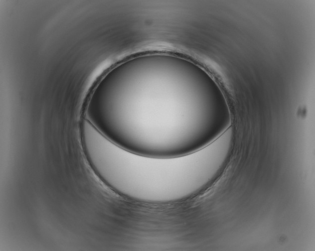 X0000091501326200708161226