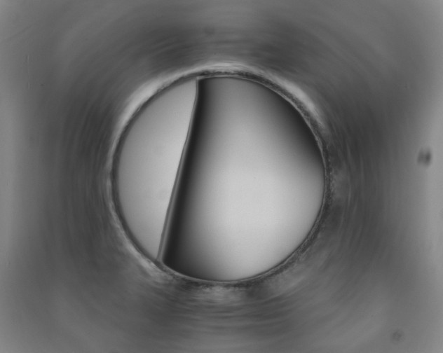 X0000091501327200708161226