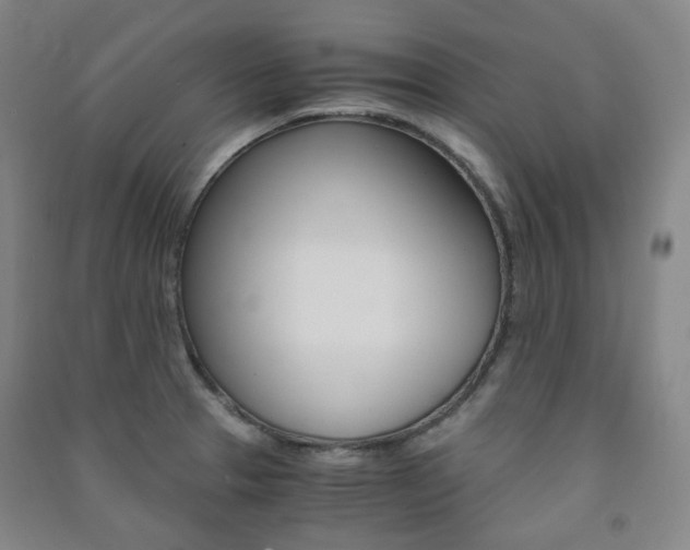 X0000091501329200708161226