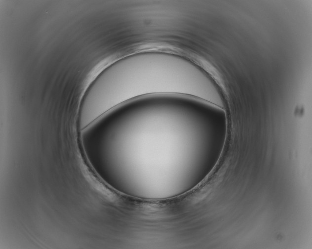 X0000091501330200708161226