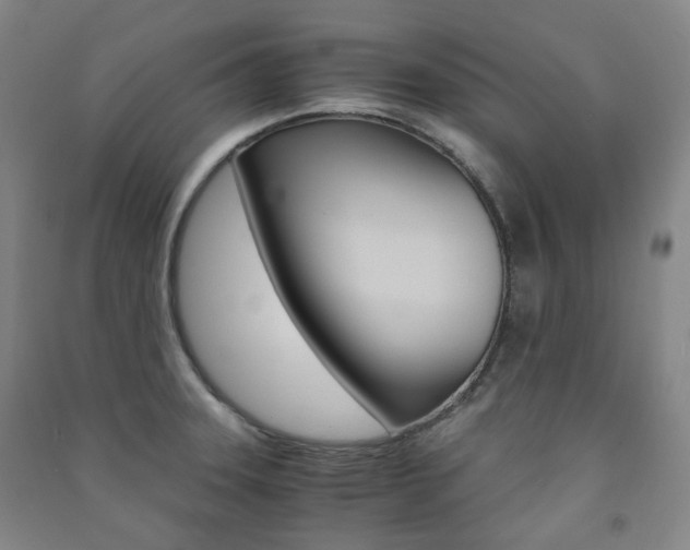 X0000091501331200708161226