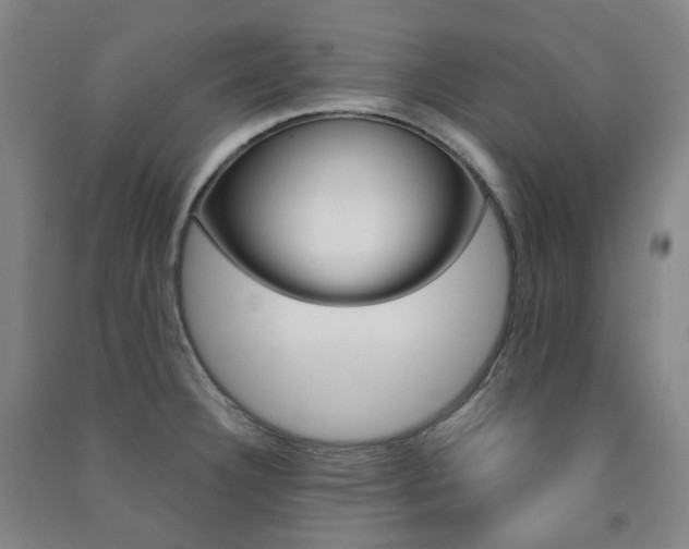 X0000091501332200708161226
