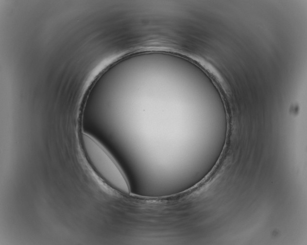 X0000091501333200708161226