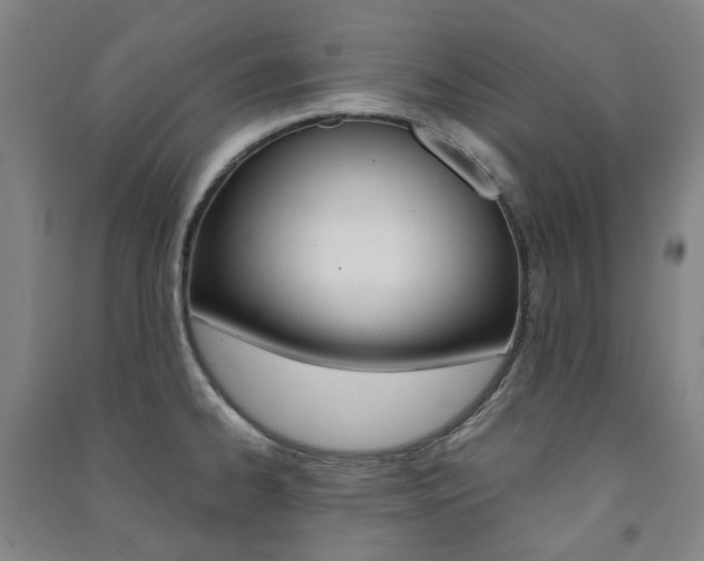 X0000091501334200708161226