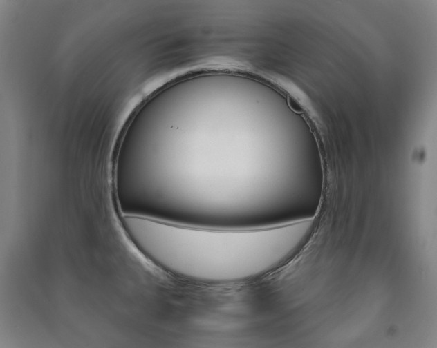 X0000091501335200708161226