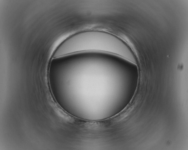 X0000091501336200708161226