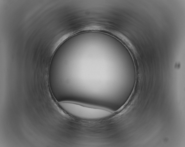 X0000091501337200708161226