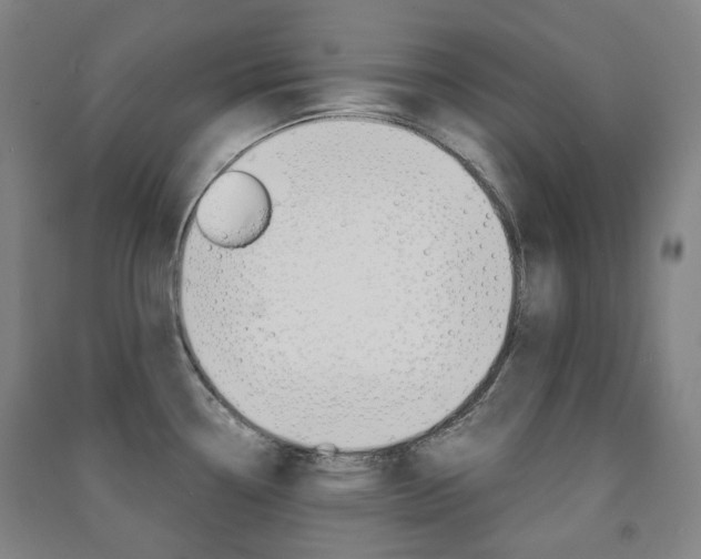 X0000091501338200708161226