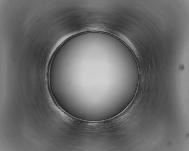 X0000091501339200708161226