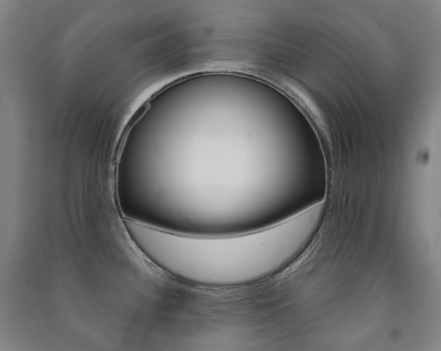 X0000091501340200708161226