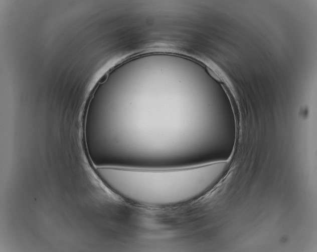 X0000091501341200708161226