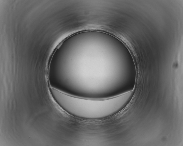 X0000091501342200708161226