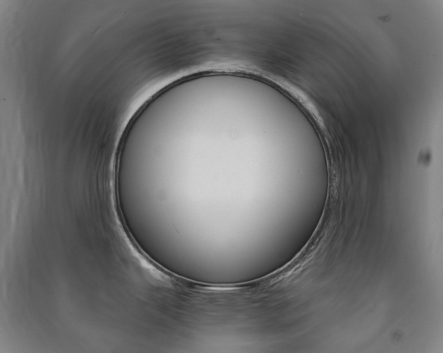 X0000091501343200708161226