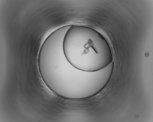 X0000091501344200708161226