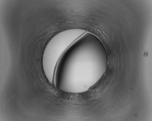 X0000091501345200708161225