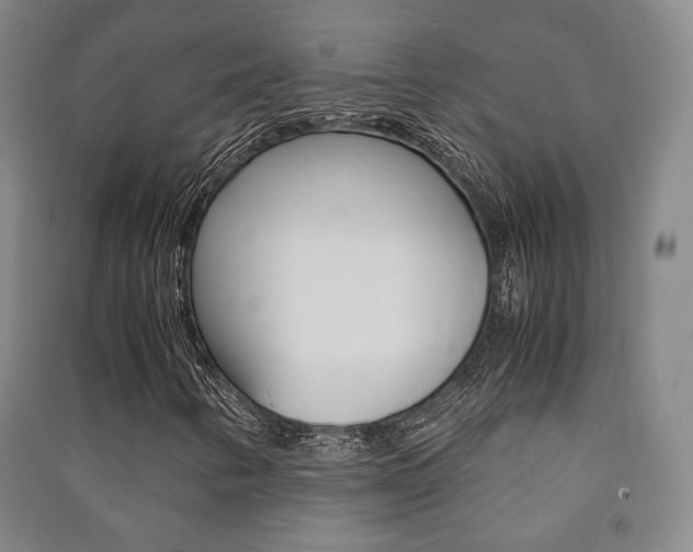 X0000091501346200708161225