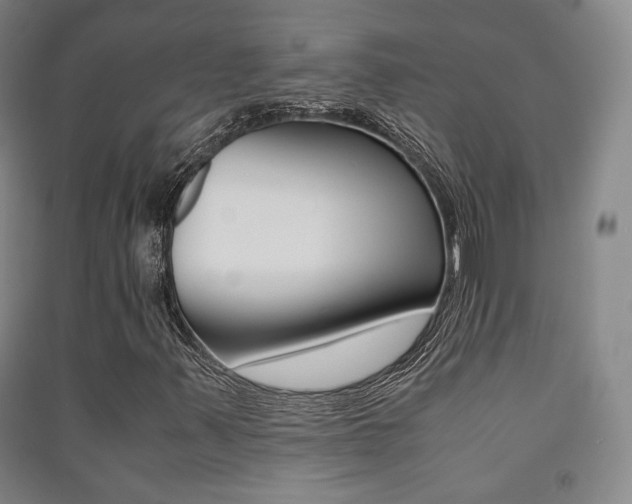 X0000091501347200708161225