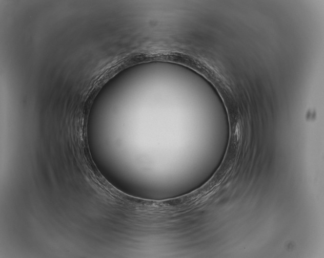 X0000091501348200708161225