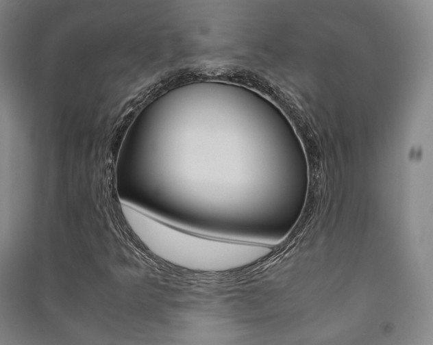 X0000091501349200708161225