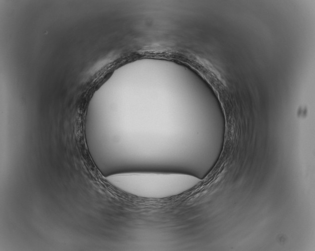 X0000091501350200708161225