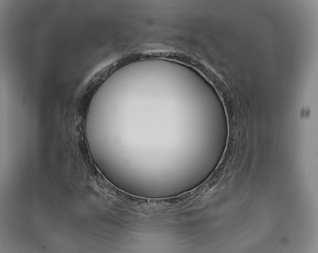 X0000091501351200708161225