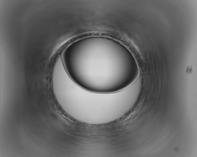 X0000091501352200708161225