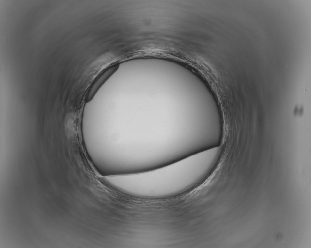 X0000091501353200708161225