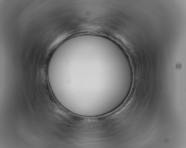 X0000091501354200708161225