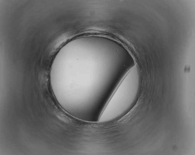 X0000091501355200708161225