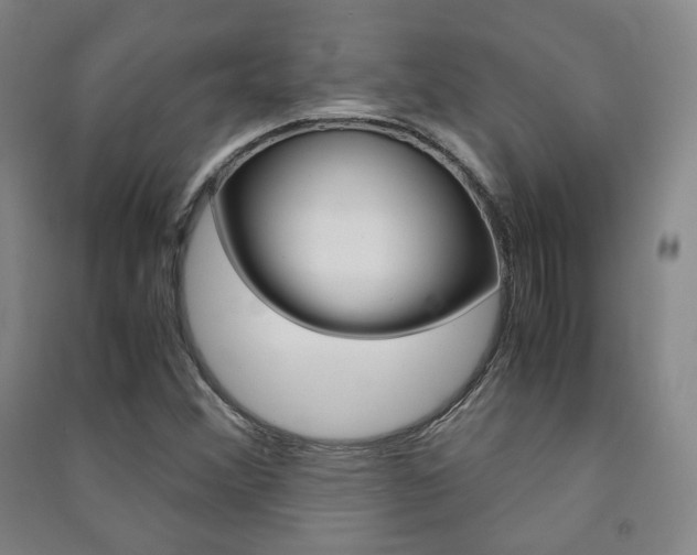 X0000091501356200708161225