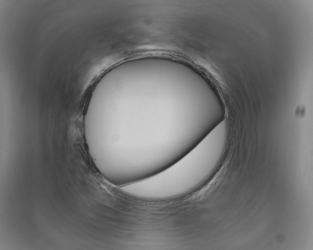 X0000091501357200708161225