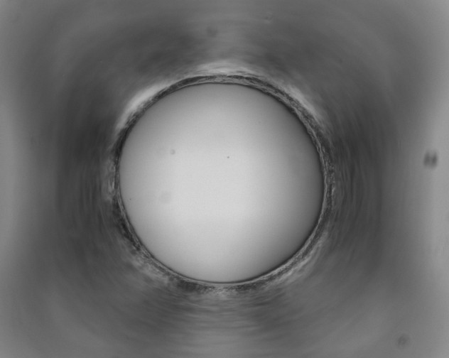 X0000091501358200708161225