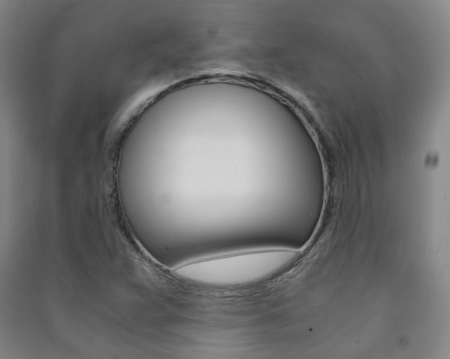 X0000091501359200708161225