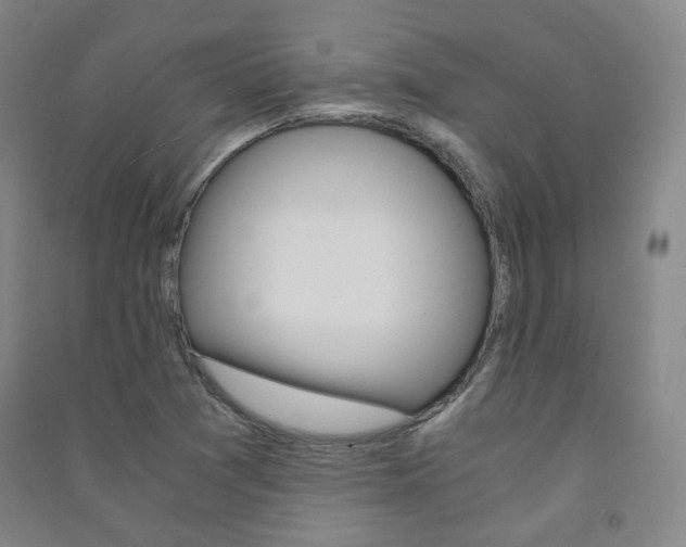 X0000091501361200708161225