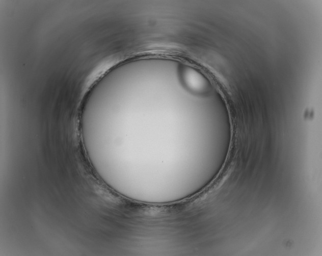 X0000091501362200708161225