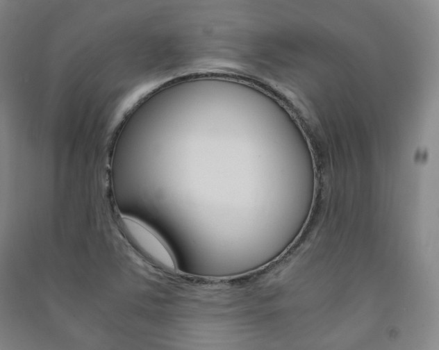 X0000091501363200708161225