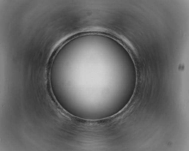X0000091501364200708161225