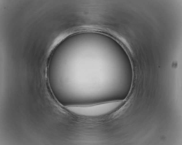 X0000091501365200708161225