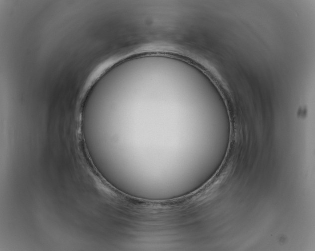 X0000091501366200708161225
