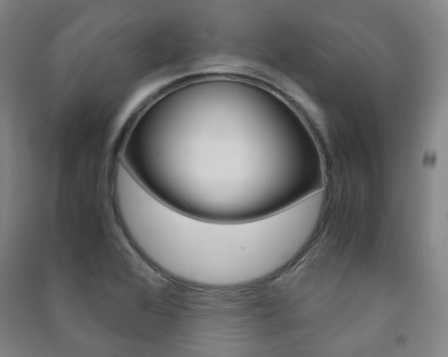 X0000091501368200708161225