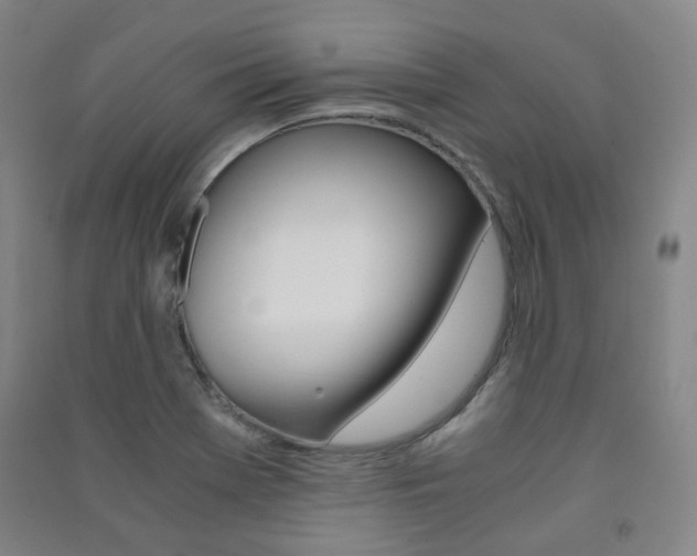 X0000091501369200708161225