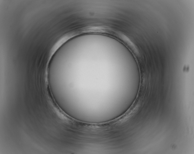 X0000091501370200708161225