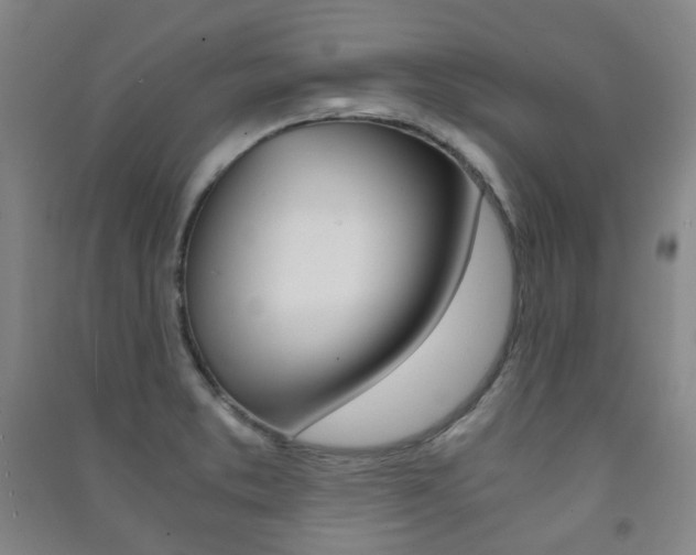 X0000091501373200708161225