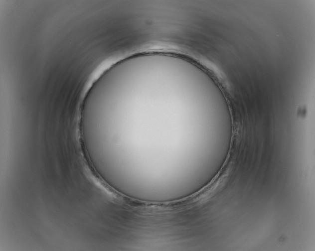 X0000091501374200708161225
