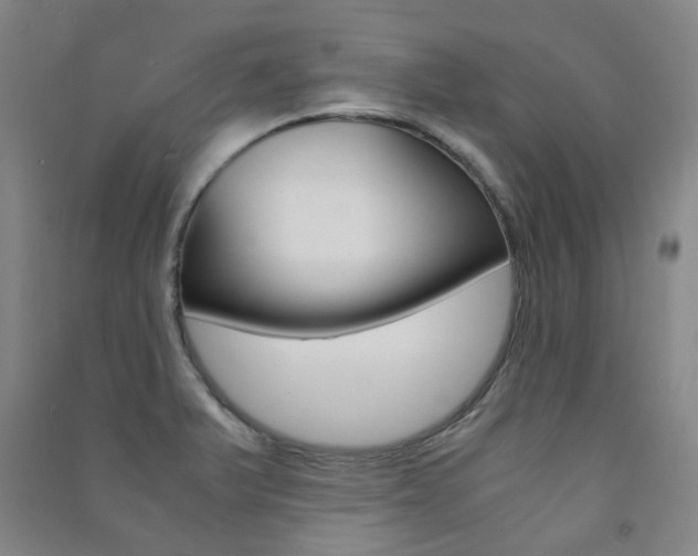 X0000091501375200708161225
