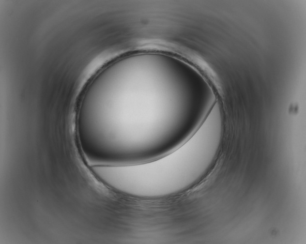 X0000091501376200708161225